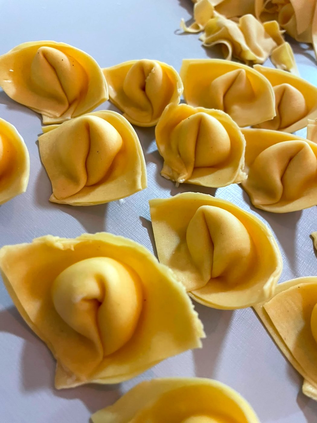 Tortelloni dobrados à mão sobre a bancada